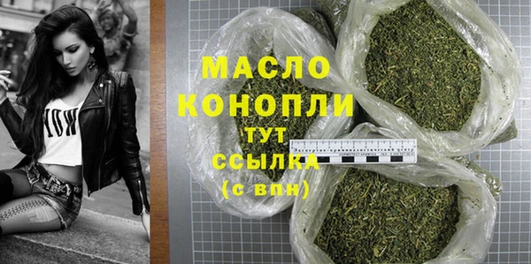 крисы Горняк