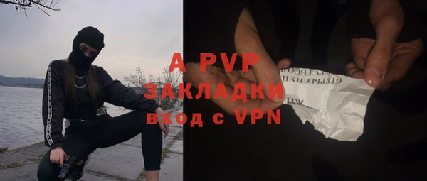 СК Горно-Алтайск